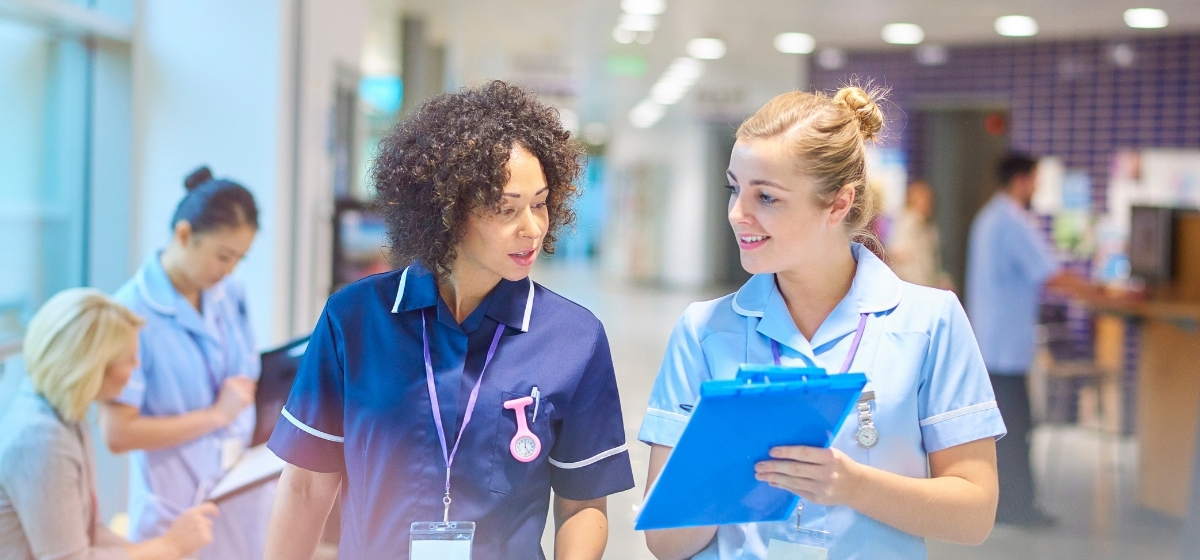 immigration web (21)